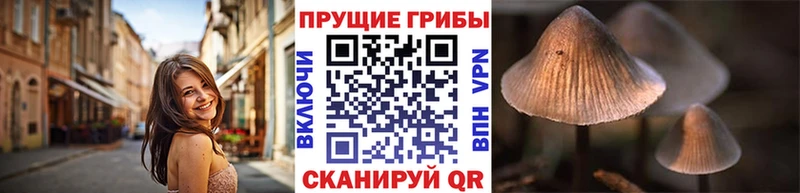 купить   мега сайт  Галлюциногенные грибы ЛСД  Ливны 